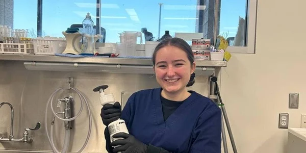 Cadet Suite Collection 'World Wonders'