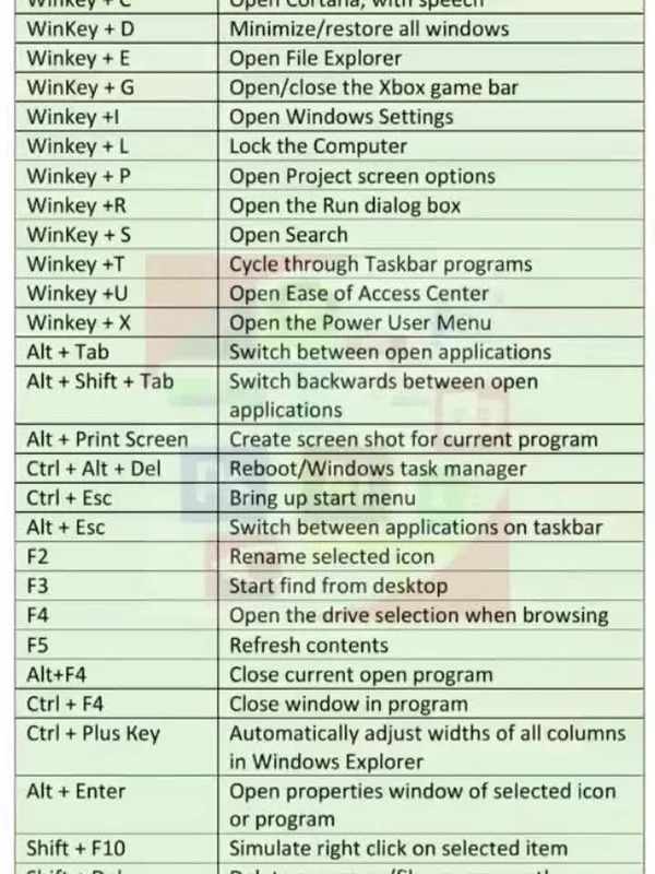 Word Processing Software (Microsoft Word)