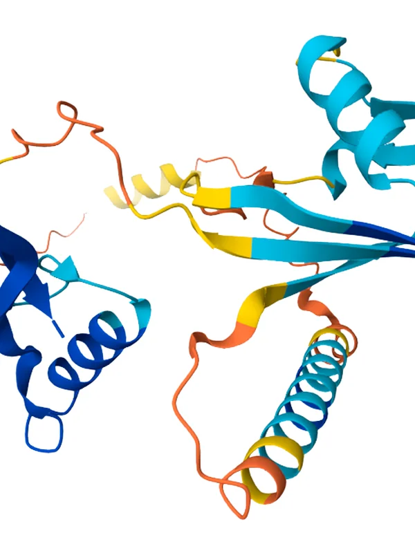 AI Protein Folding (AlphaFold)