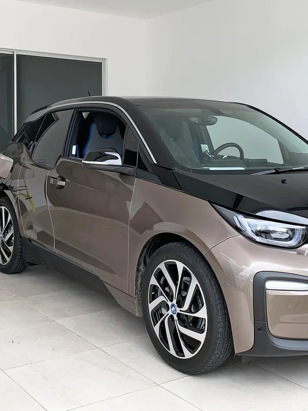 Electric Vehicle Mass Adoption Platforms