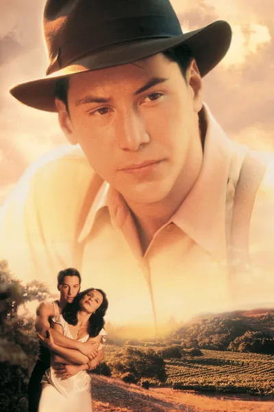 A Walk in the Clouds