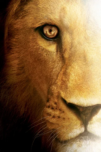 The Chronicles of Narnia: The Voyage of the Dawn Treader