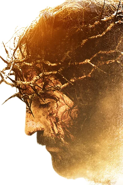 The Passion of the Christ